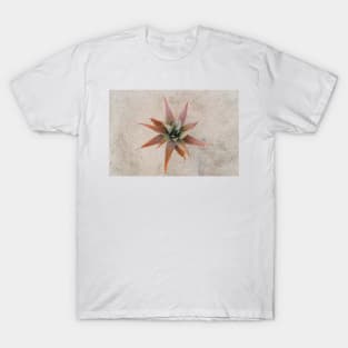 Mexico Succulent T-Shirt